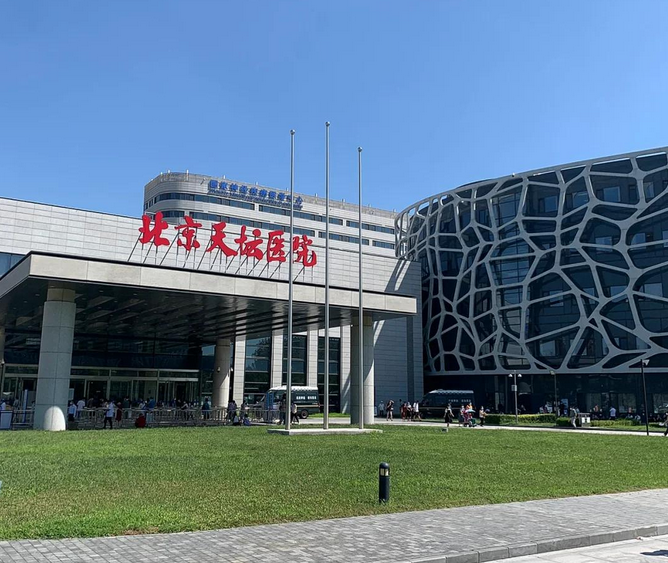 团队成员